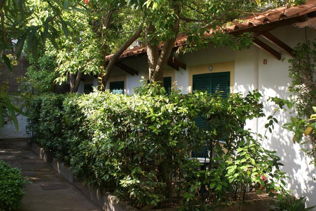 Hotel Ciccio 3*
