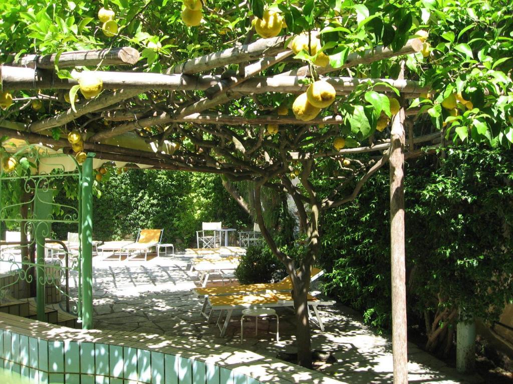 Ciccio Hotel Ischia